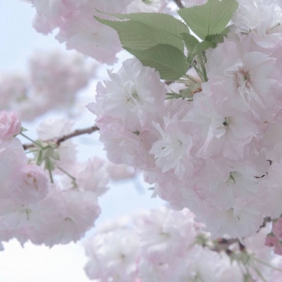 陈仓FurryQQ群介绍